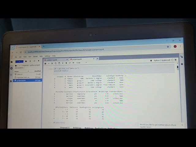 Python Data analysis in Jupyter notebook 