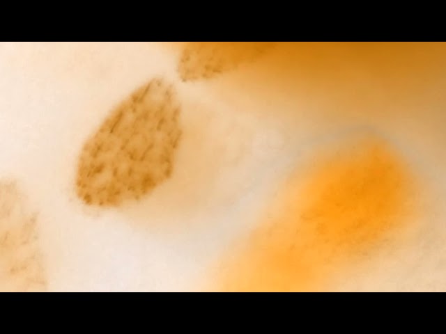 B2-2 Color Video cc0 license injected