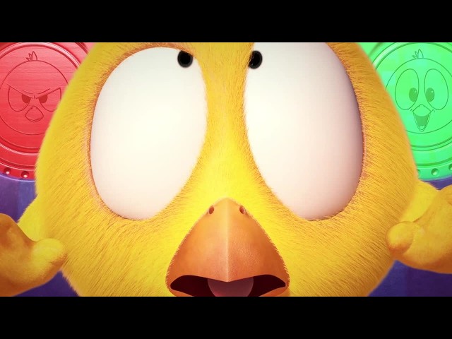 Who's going to win? | Where's Chicky? | Cartoon Collection in English for Kids | New episodes