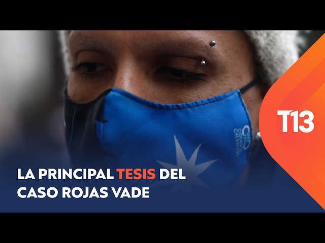 "Self-attack": The main theory of the Rojas Vade case