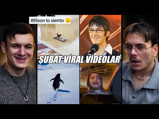 FEBRUARY INTERNET DOSE | alexander yrk, nihilist penguin, wilson lo siento, Turkish Cinematic Uni...