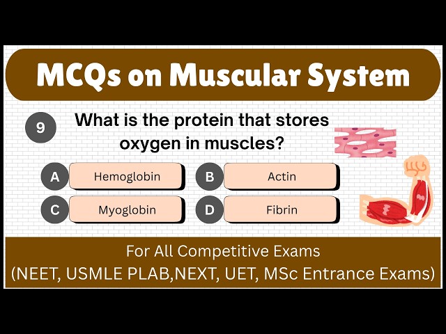 Top 30+ Muscular system MCQs || Muscular system MCQs questions