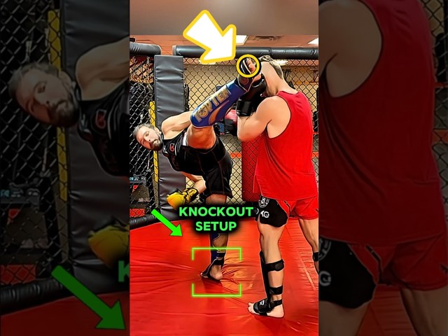 How To SETUP The HOOK KICK Knockout (Even A Beginner Can Do)