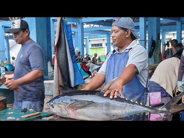 Process cutting & fillet yellowfin Tuna fresh use knife sharp,