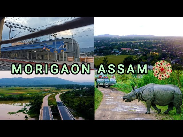 Morigaon Assam | Morigaon town and tourist places | Pobitora wildlife sanctuary