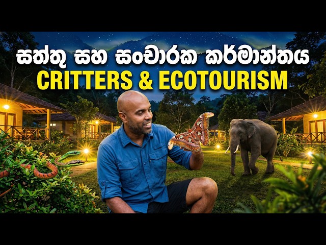 සත්තු සහ සංචාරක කර්මාන්තය Critters & Ecotourism | Dr. Ru Somaweera | #යංසත්තුබලන්න #rugoeswild