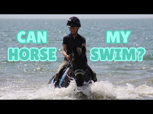 I SWAM ON MY HORSE FOR THE FIRST TIME... GoPro