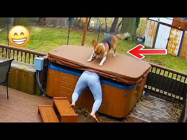 Funniest Animal Videos 2026 😂 Funniest Animals On The Internet Right Now