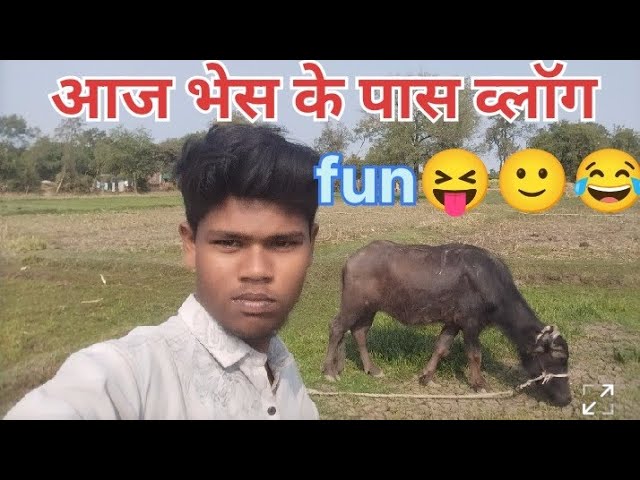 Mini vlog 757 | Elvish Yadav Vlogs | Sourav Joshi Vlogs | Indian Vloggers | Flying Beast