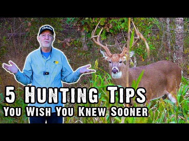 5 Deer Hunting Tips You'll Wish You Knew Sooner!