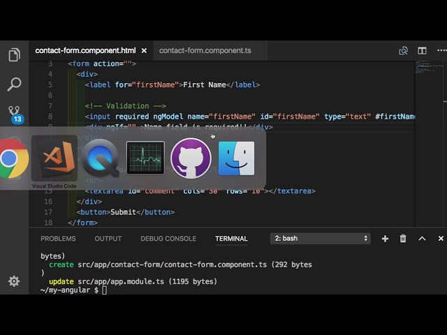 Angular 045 -  Validation with ngModel