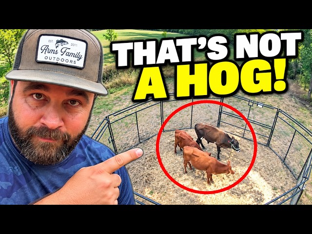 That’s NOT a Wild Hog in My Trap!