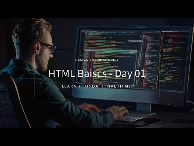 HTML Basics Sinhala 🚀 | Web Development Course - Day 1