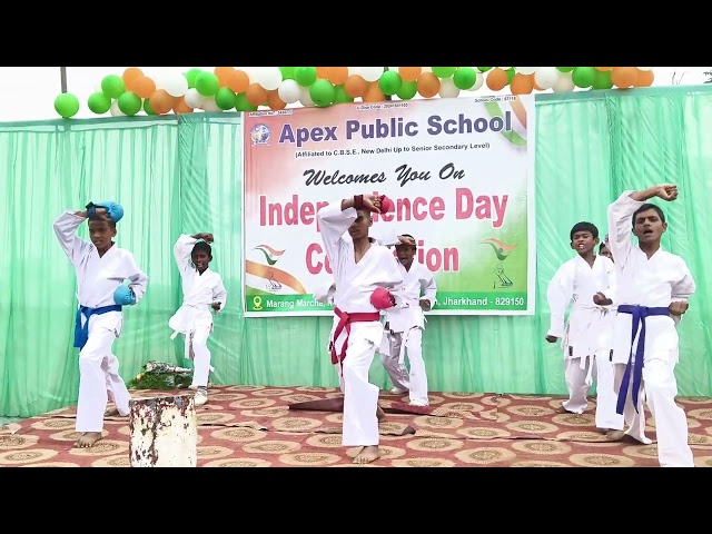 🥋 Karate Performance | Self Defence & Discipline | Apex Public School | Independence Day 2026