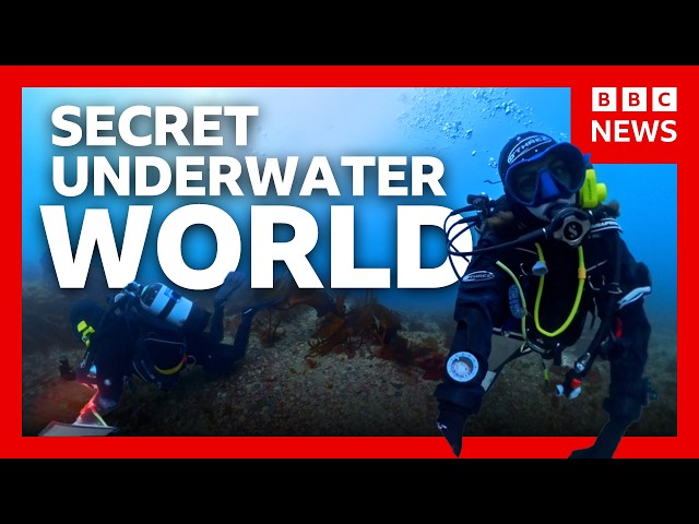 The secret underwater world scientists are now exploring | BBC News