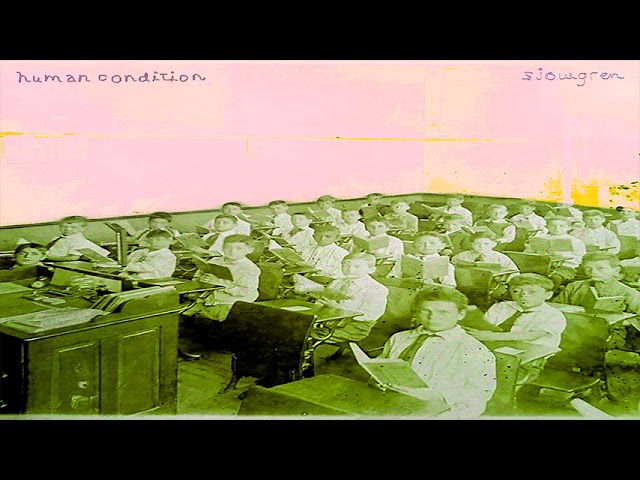 sjowgren - human condition