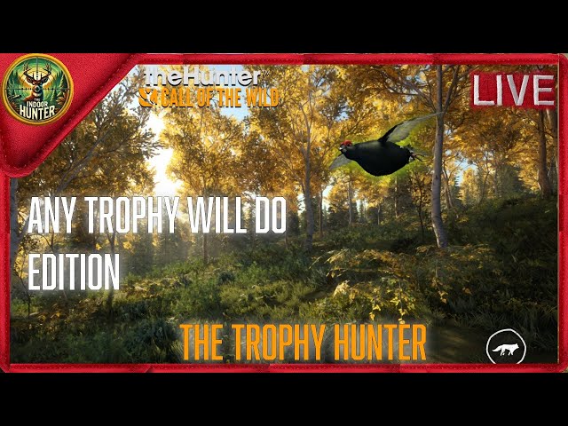 Run and gun trophy hunting | theHunter Call of the Wild