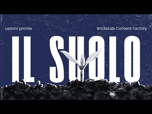 Scienze | Il suolo