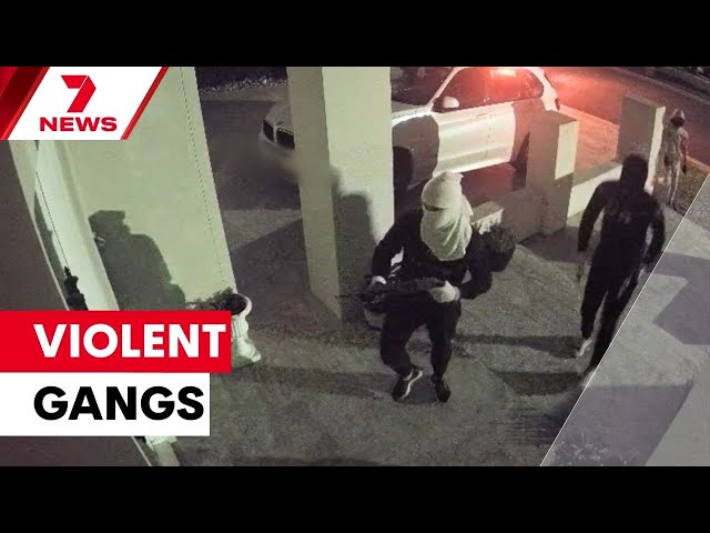 The gang forcing their way into Queensland homes | 7NEWS