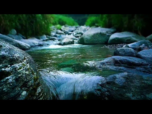 River Ambience + Night Crickets Sleep Sounds for Deep Rest & Relaxing Atmosphere