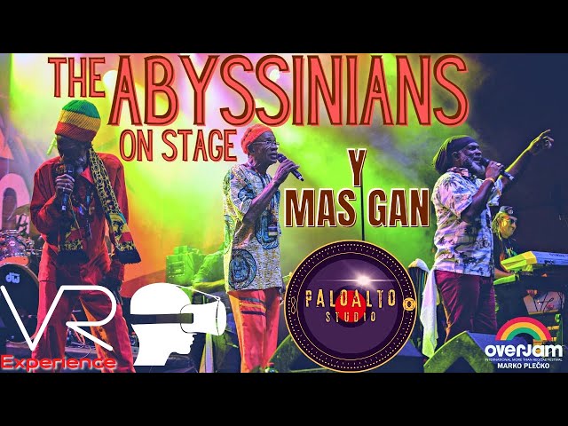 3D 360 VR The ABYSSINIANS - Y Mas Gan - Live@overjamreggae(PLAYSTATION VR QUEST 2 PICO 4 METAVERSE)