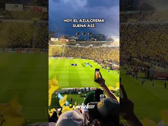 El Clásico se pinta azulcrema 💛💙 #layvtime #ligamx #clasiconacional #clubamerica