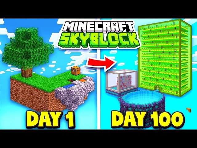 I found the best Skyblock Online server in Brazil for Minecraft Java and Bedrock.