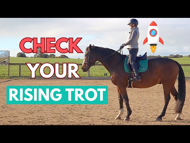 Three Tips to Master Your Rising Trot