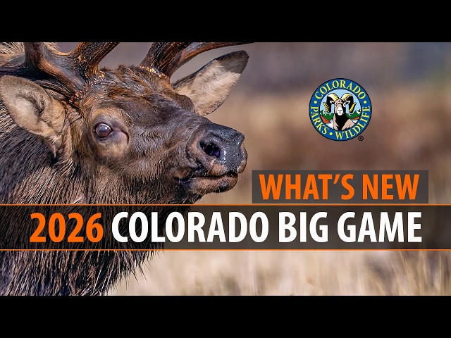 2026 Colorado Big Game: What's New