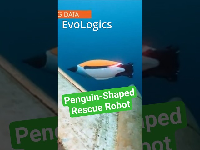 Here's Why Penguins are Awesome