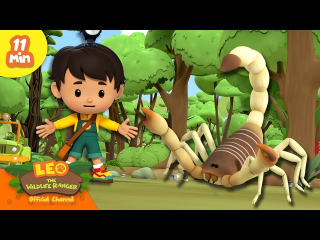 BEWARE OF THE BRAZILIAN YELLOW SCORPION! | Leo the Wildlife Ranger | Educational Animal Cartoons