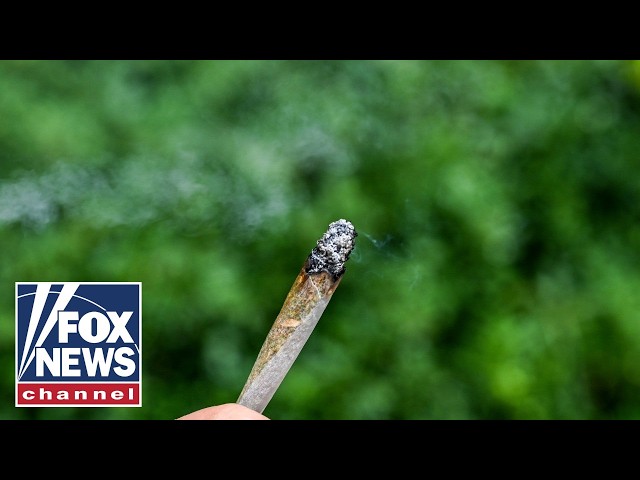 SHOCKING new data reveals America's daily marijuana use