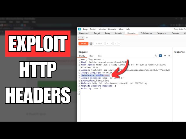 Access Hidden Data by Modifying HTTP Headers | picoCTF - picobrowser