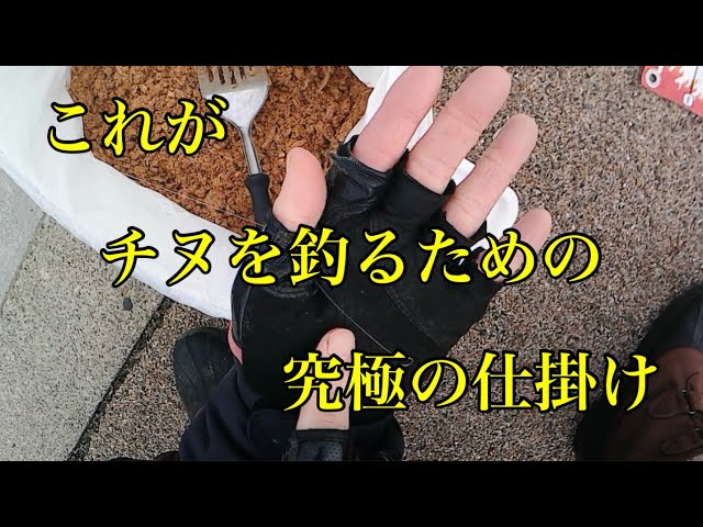 This is the ultimate tackle for catching black porgy... [Black porgy Fukase fishing]