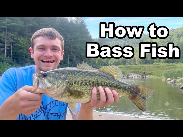 How To Catch Bass for Beginners!