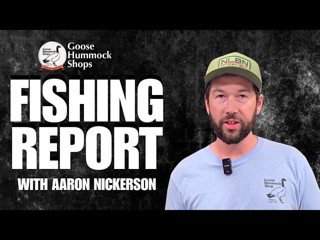 GOOSE PRO STAFFER AARON NICKERSON GIVES THIS WEEK'S GOOSE HUMMOCK FISHING REPORT!!!!