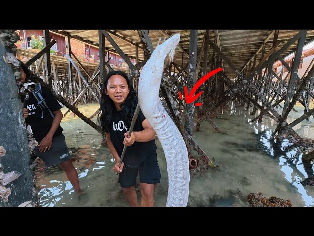 5 DAYS SURVIVAL: HUNTING AND COOKING THE WHITE MONSTER IN EAST KALIMANTAN WITH KIKO AND PANJI