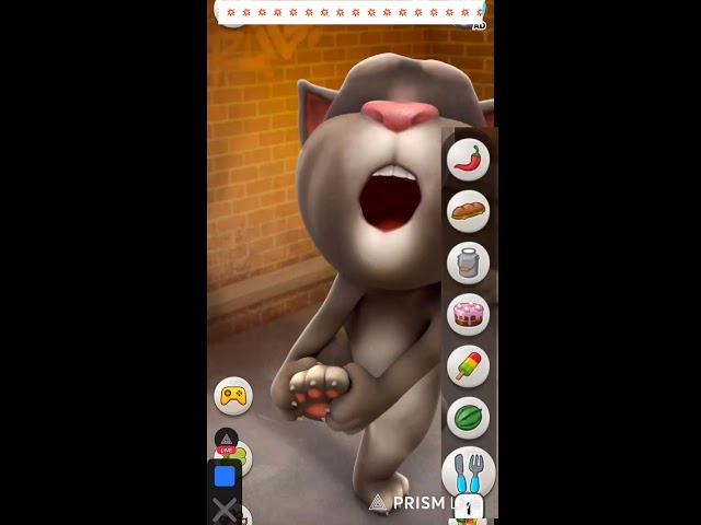 Live streaming of Pixel Padles