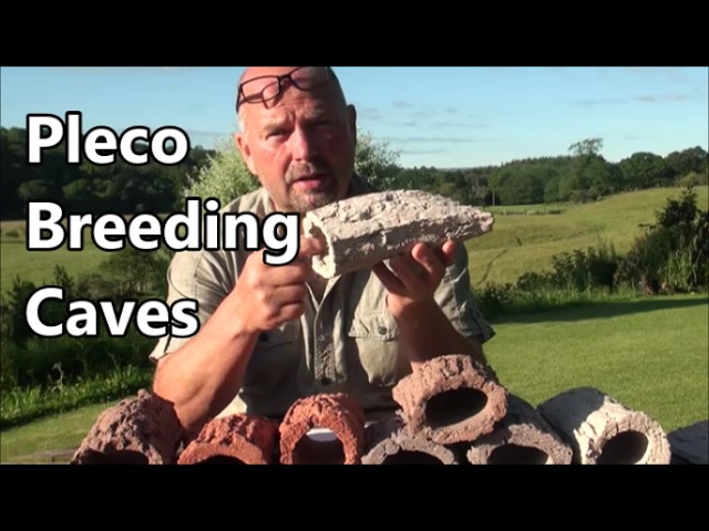 Biohome Pleco Breeding Caves (Now Available) + New Prototypes