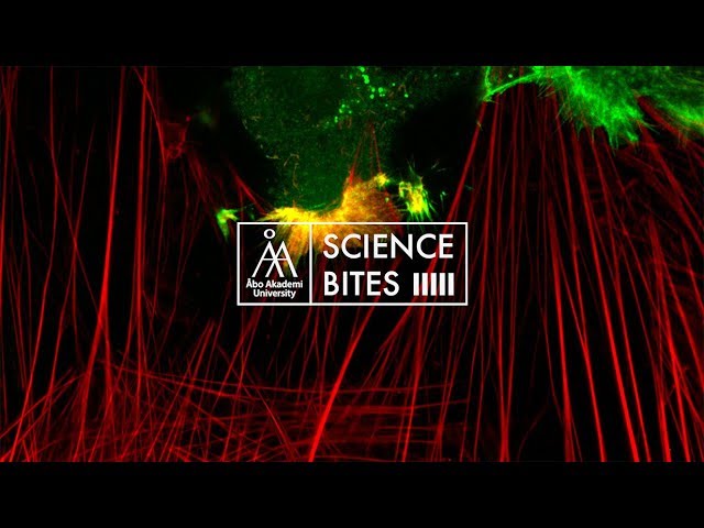 ÅAU Science Bites – CAN WE CURE CANCER?