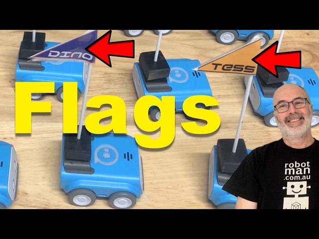 I made some Sphero Indi Removable Flags