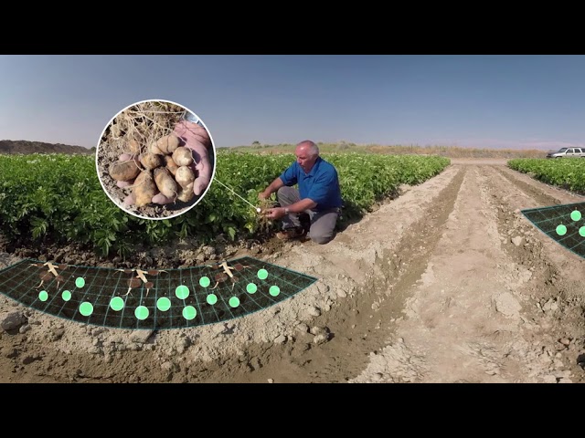 ESN Potato VR Crop Tour