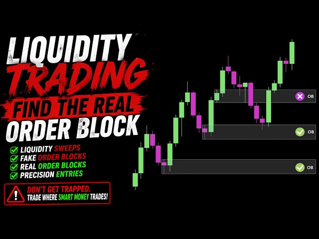 Liquidity Trading Strategy: How to Find the Real Order Block #trading #liquidity #SMC