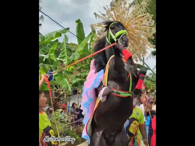 Hiro Keri Dewe Number Eight Pogung Jurutengah 2025 #karnaval