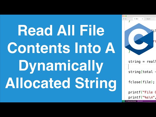 Read All File Contents Into A Dynamically Allocated String | C Programming Example