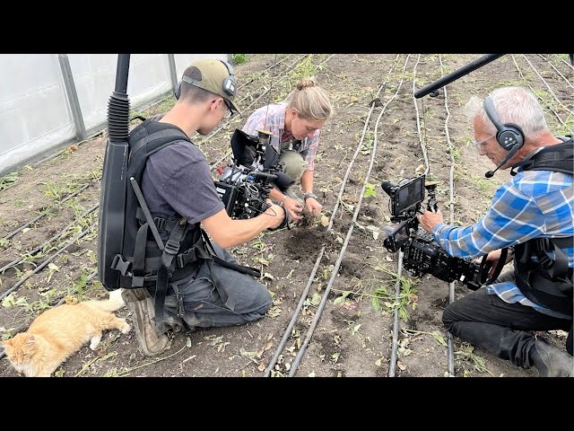 Growing Floret Behind the Scenes: Zinnias