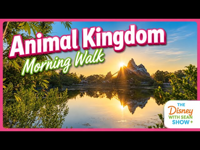 Animal Kingdom Morning | Winged Encounters, Kangaroos & Satu’li Canteen | Day 330
