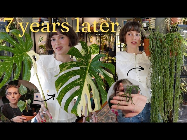 i've had these 10 plants since the beginning 💞