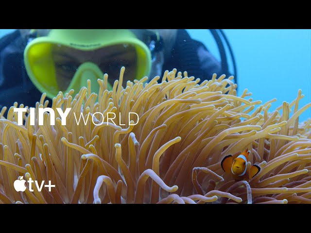 Tiny World — Filming Inside the Reef | Apple TV