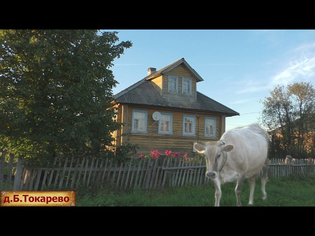 Жилая деревня на краю Костромской области. Неспешная жизнь в российской глубинке.